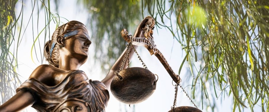 No mention  to the State Forests can be made for the theft of wood