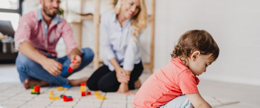 Postępowanie dowodowe w sprawie „aktywni rodzice w pracy”